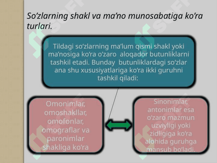 O'zbek tilida leksikologiya 6