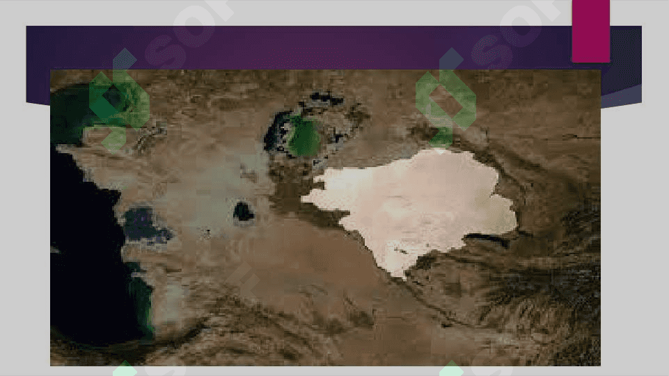 O'zbekistonda oʻsimlik va hayvonot dunyosi 3