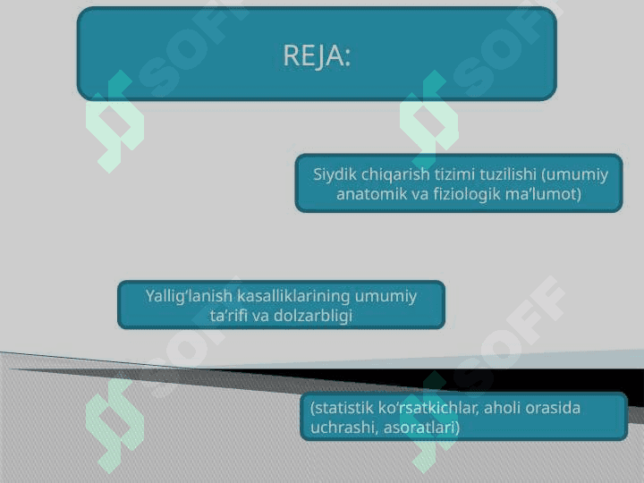 Sistit, Nefrit, Perit, qovuqni yalligʻlanishi T.pptx 2