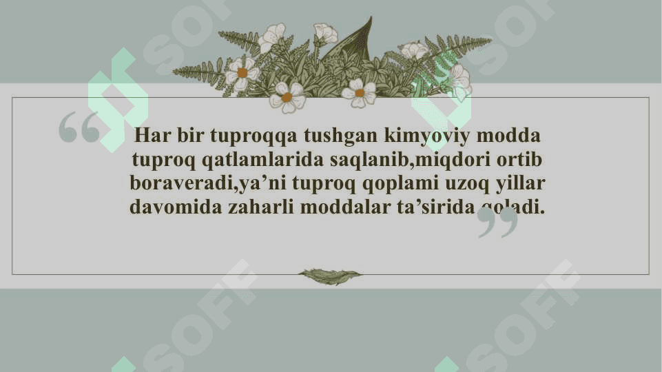 Tuproq qoplami va atrof muhit ifloslanishi 7