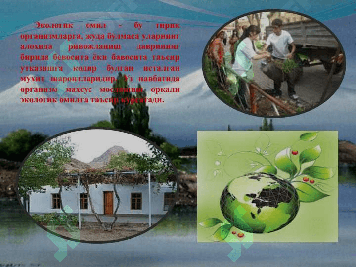 Мухит ва экологик омиллар 5