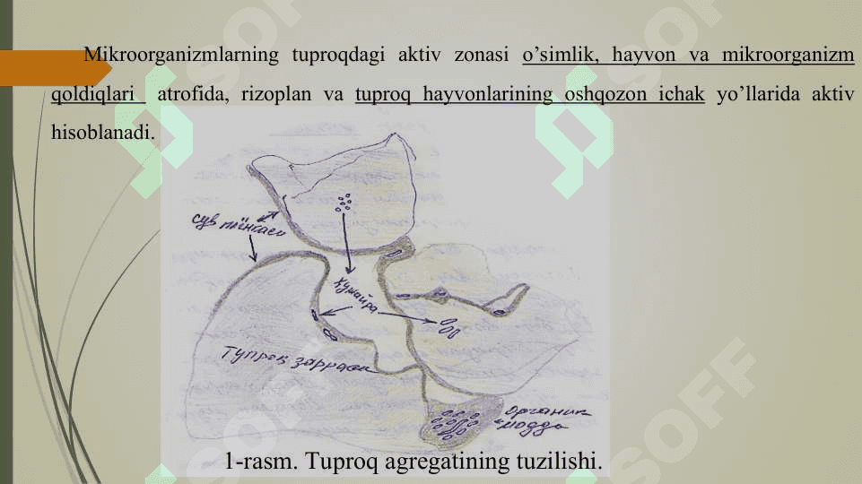 Турли экологик омилларнинг тупроқ микроорганизмларига таъсири 2