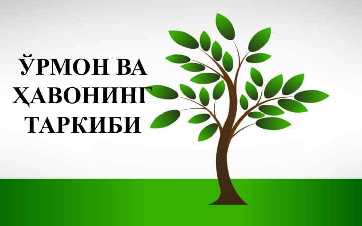 ЎРМОН ВА ҲАВОНИНГ ТАРКИБИ 1