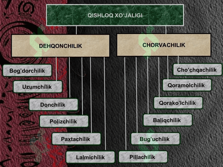 O'zbekistonda qishloq xo'jaligi va sanoat sohasidagi o'zgarishlar 5