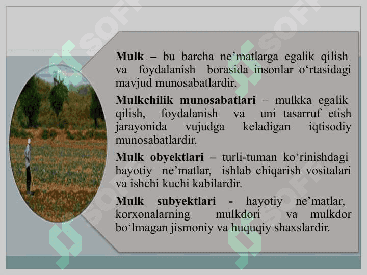 QISHLOQ XO‘JALIGIDA MULK VA TADBIRKORLIK SHAKLLARI, ULARNING BOZOR SHAROITIDA RIVOJLANISHI 3