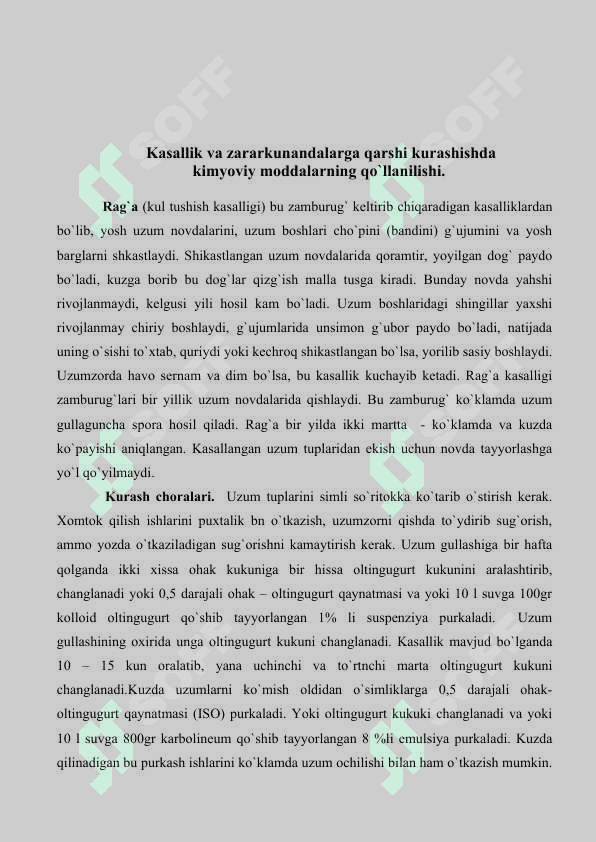 Pushti Kishmish  va Kishmish Vir uzum navlarini yetishtirish texnologiya 5