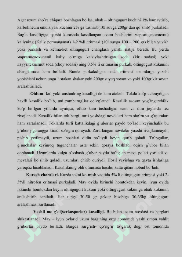 Pushti Kishmish  va Kishmish Vir uzum navlarini yetishtirish texnologiya 6