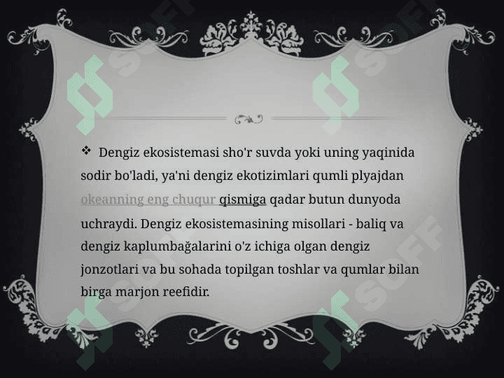 Dengiz ekosistemasi. Xizmatlari 3