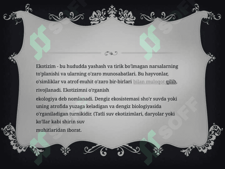 Dengiz ekosistemasi. Xizmatlari 4