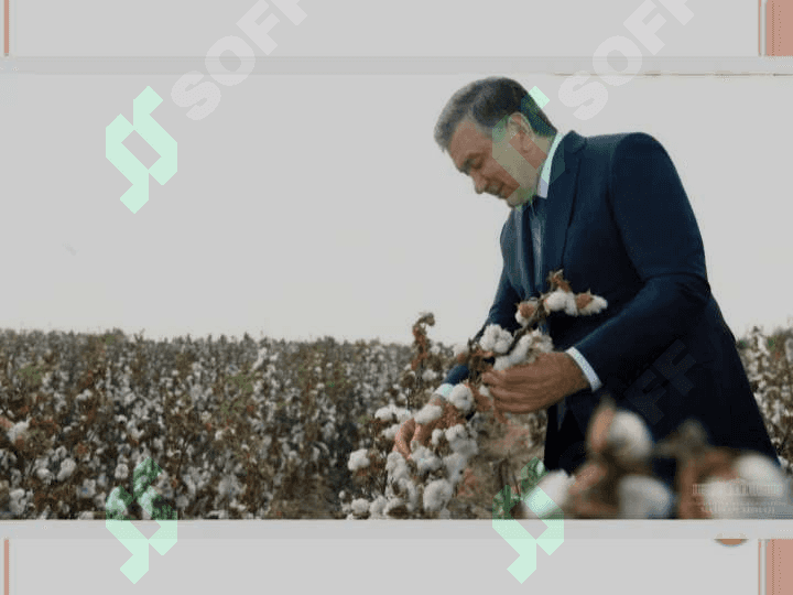 Qishloq xo’jaligi va sanoat soxasidagi o’zgarishlar 2