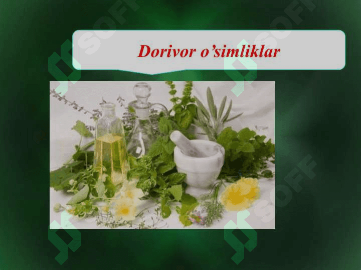 Dorivor o’simliklar xomashyosining mikroflorasi o’simliklarda kasallik qo’zg’atuvchi mikroorganizmlar tayyor dorilarning mikroflorasi va aniqlash usullari 3