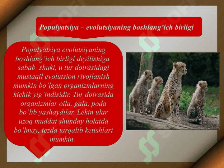 Evolutsiyaning sintetik nazariyasi 3