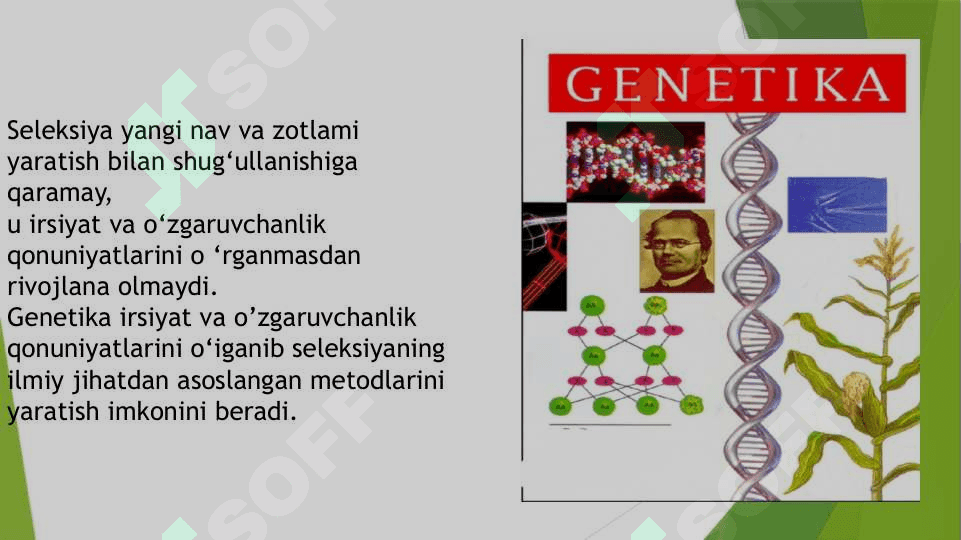 Genetikaning nazariy va amaliy ahamiayti, DNK replikatsiyasi 3