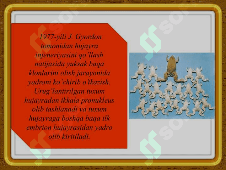 Hayvonlar irsiyatini hujayra Injeneriyasi yo’li bilan o’zgartirish 4