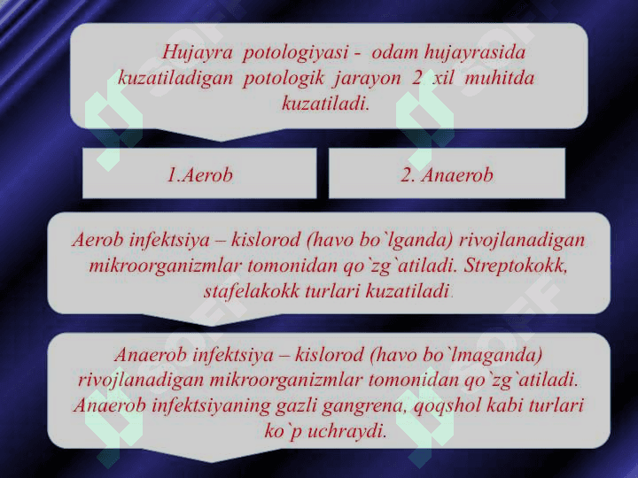 Hujayra potologiyasi. Aerob va anaerob infeksiyalar 2
