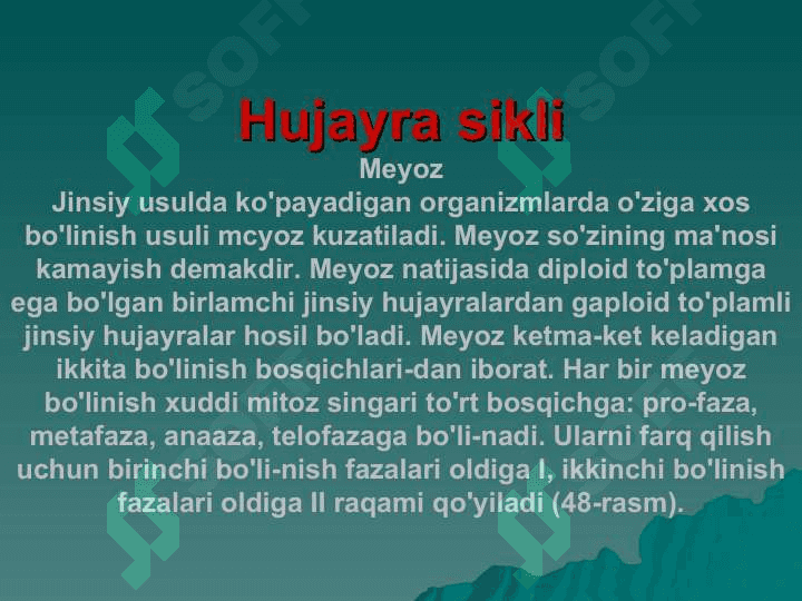 Hujayra sikli 2