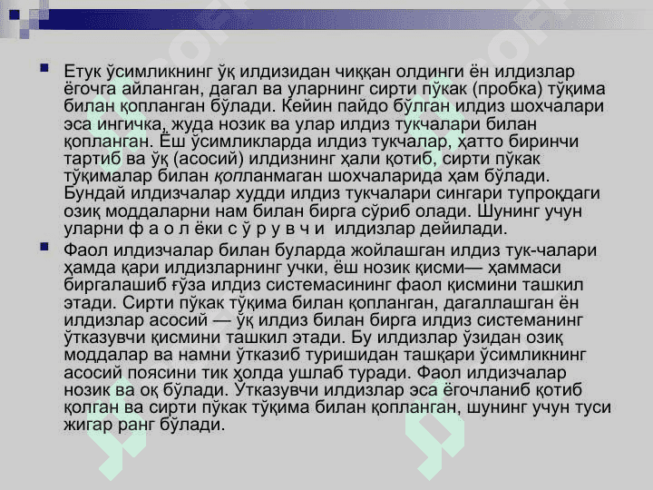 Ғўзанинг морфологияси ва биологияси 3