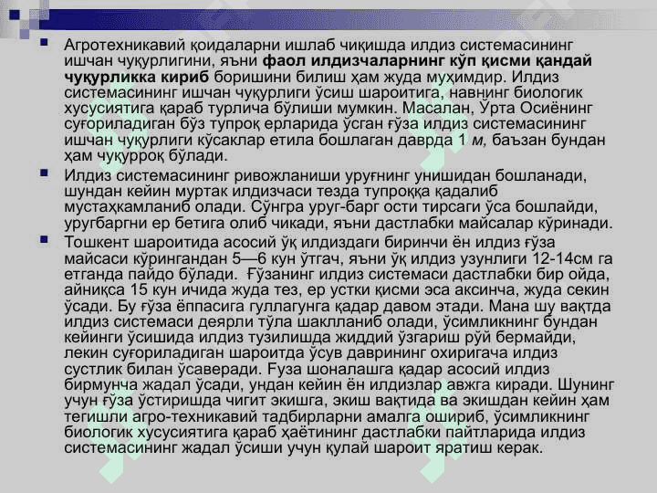 Ғўзанинг морфологияси ва биологияси 5