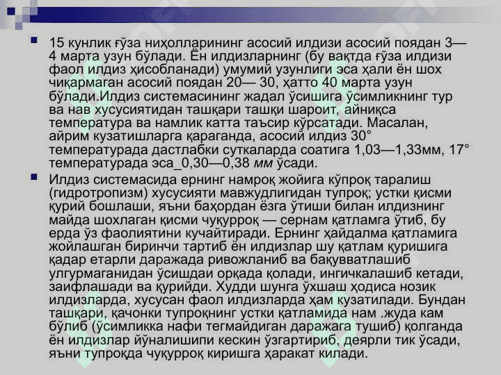 Ғўзанинг морфологияси ва биологияси 6