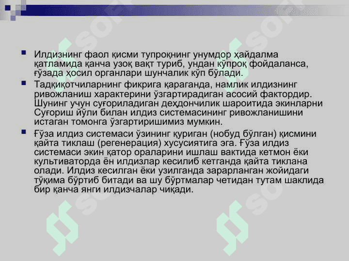 Ғўзанинг морфологияси ва биологияси 7