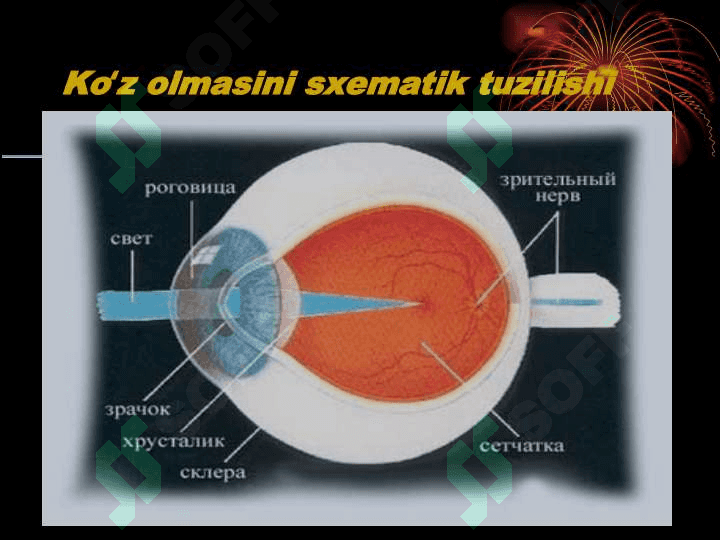 KERATITLAR 2