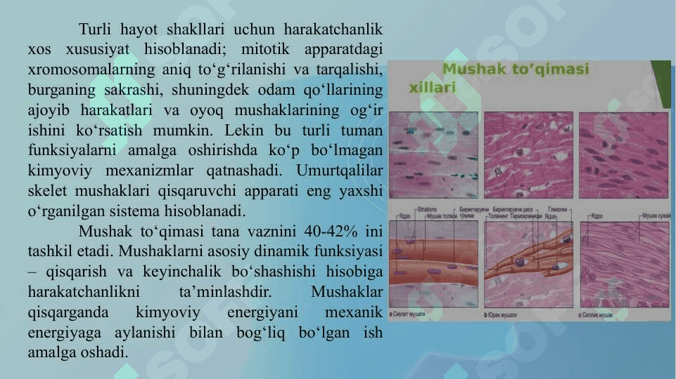YURAK VA MUSHAK BIOKIMYOSI 2
