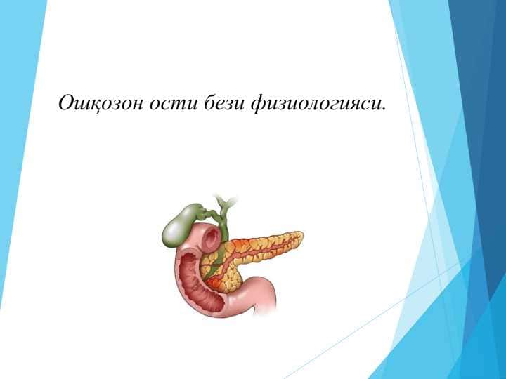 Ошқозон ости бези физиологияси