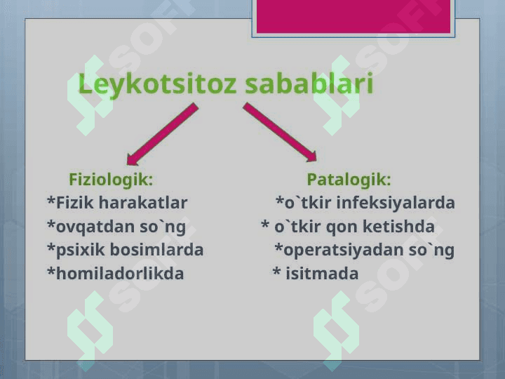 Leykositlar. Qon guruhlari. Resuz Faktor. Qon quyish asoslari 5
