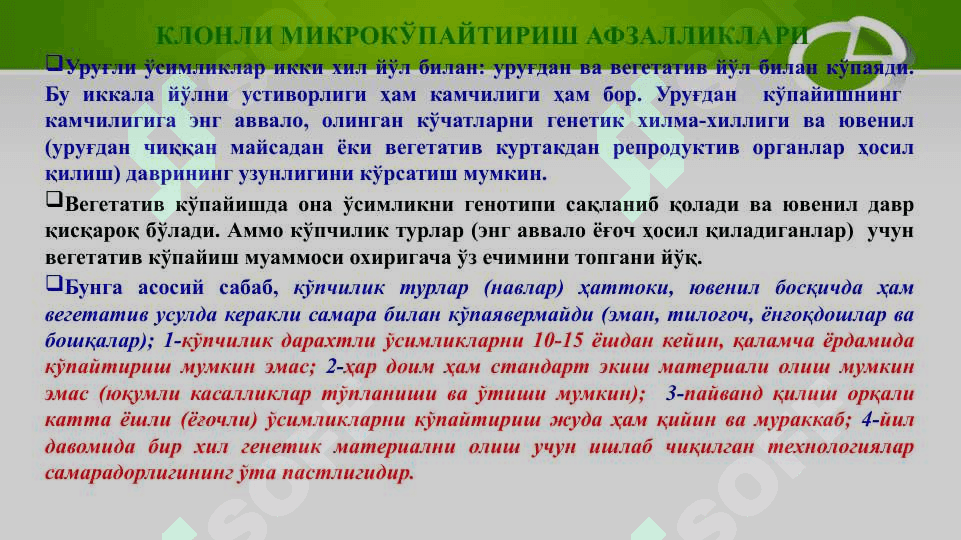 O'simliklarni klonli mikroko'paytirish . ЎСИМЛИКЛАРНИ КЛОНЛИ МИКРОКЎПАЙТИРИШ 4