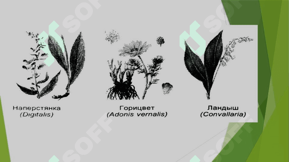 Yurak yetishmovchiligida ishlatiladigan vositalar . Юрак етишмовчилигида ишлатиладиган препаратлар 4