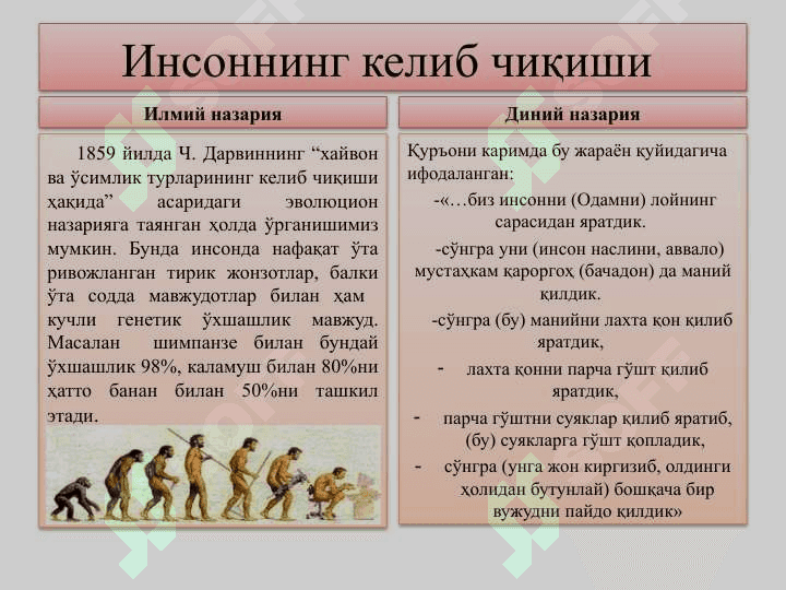Инсон фалсафаси (фалсафий антропология) 4