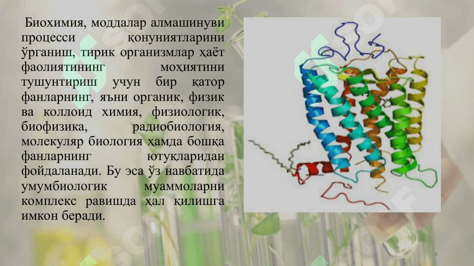 Оқсиллар ва аминокислоталар 4