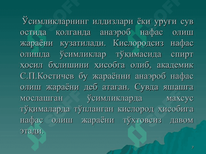 Ўсимликларнинг нафас олиши 7