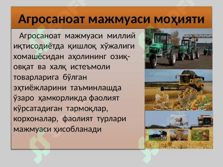 Қишлоқ хўжалиги, унинг тараққиёти ва юксалиш йўллари 3