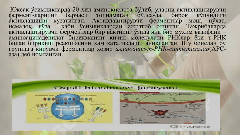 Оқсиллар синтези ва парчаланиши 8