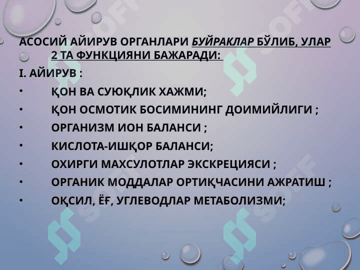Организмнинг экскретор функцияси 4