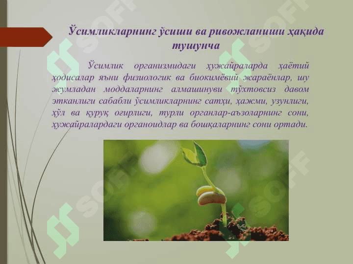 Ўсимликшуносликда стимуляторларни қўллашнинг биотехнологик асослари 2