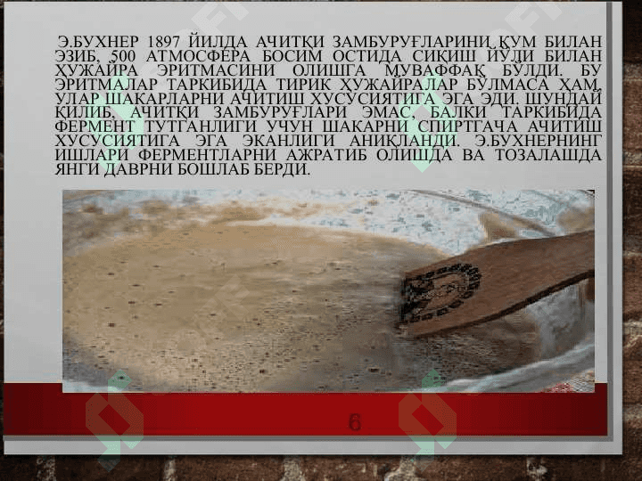 Ферментлар 6