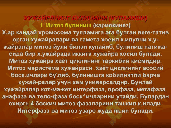Хужайрлнинг булиниши (купаииши) 2