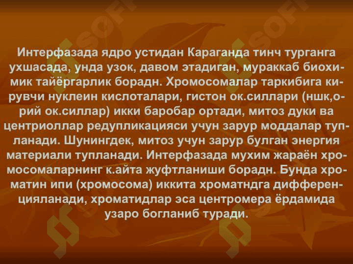 Хужайрлнинг булиниши (купаииши) 4