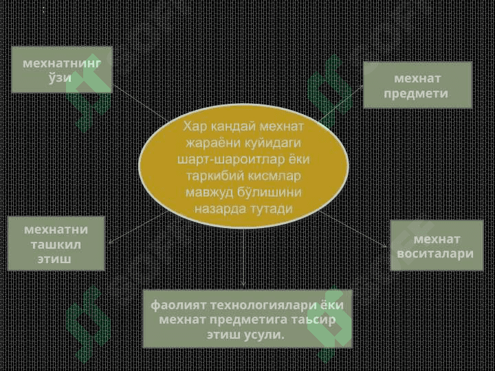 Ижтимоий мехнат муносабатларининг асосий тамойиллари 4