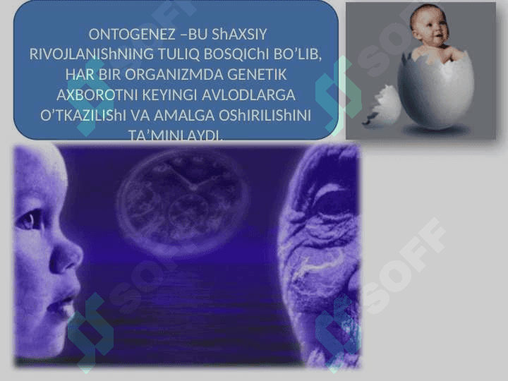 Individual rivojlanishning umumiy qonuniyatlari 2