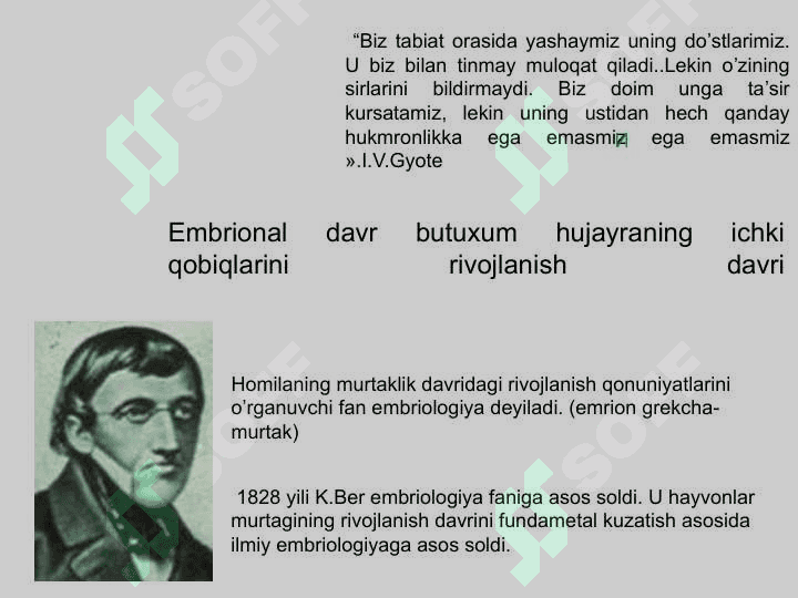 Individual rivojlanishning umumiy qonuniyatlari 4