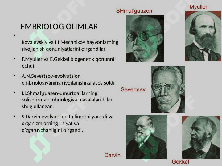 Individual rivojlanishning umumiy qonuniyatlari 5