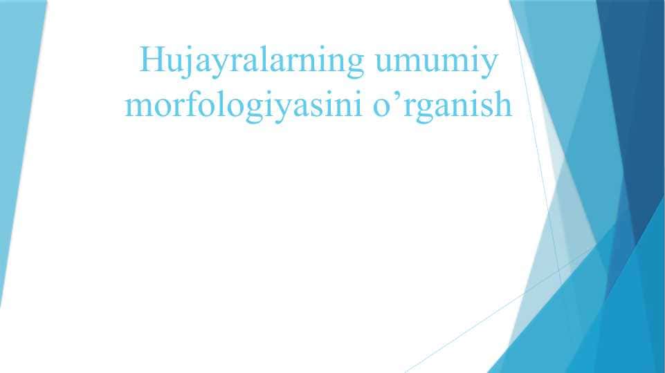 Hujayralarning umumiy morfologiyasini o’rganish