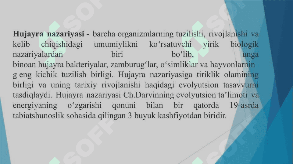 Hujayralarning umumiy morfologiyasini o’rganish 3
