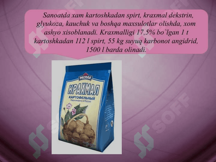 Kartoshka biologiyasi va etishtirish texnologiyasi 3