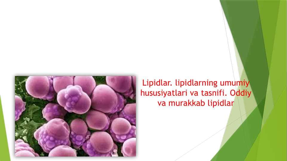 Lipidlar. lipidlarning umumiy hususiyatlari va tasnifi. Oddiy va murakkab lipidlar