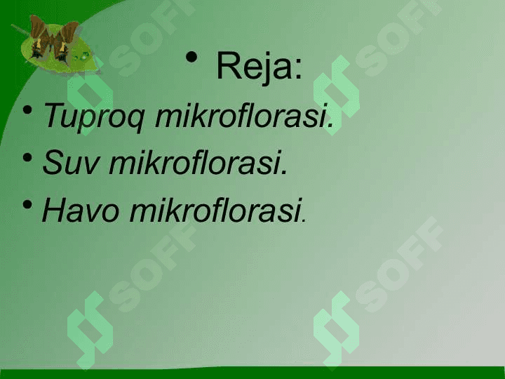 Mikroorganizmlarning biosferadagi o`rniMikroorganizmlarning biosferadagi o`rni 2