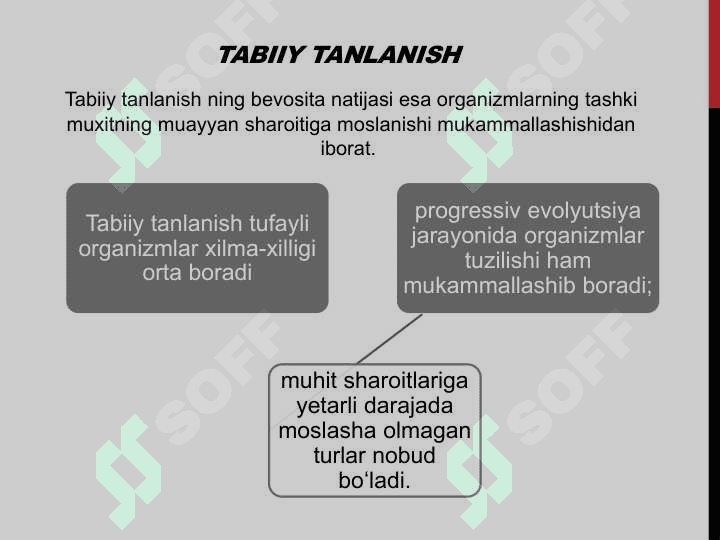 MOSLASHISH TABIIY TANLANISH NATIJASI EKANLIGI. URG’OCHI VA ERKAK ORGANIZMLAR GETEROGAMETALI BO’LGANDA JINS BILAN BIRIKKAN HOLDA BELGILARNING IRSIYLANISHIGA DOIR MASALALAR YECHISHMOSLASHISH TABIIY TANLANISH NATIJASI EKANLIGI. URG’OCHI VA ERKAK ORGANIZMLAR GETEROGAMETALI BO’LGANDA JINS BILAN BIRIKKAN HOLDA BELGILARNING IRSIYLANISHIGA DOIR MASALALAR YECHISH 4